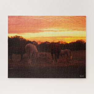 Puzzle Bob Langrish   Quatre chevaux pâturant au coucher