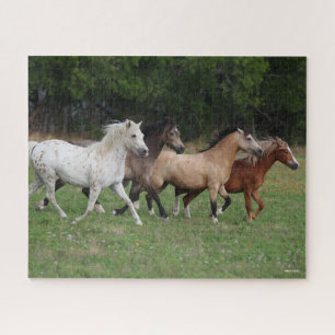 Puzzle Bob Langrish Quatre Poney Courant Ensemble