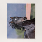 Puzzle Bob Langrish | Retour Casque andalou (Vertical)