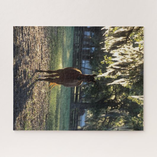 Puzzle Bob Langrish | Rétroéclairage du sang chaud (Horizontal)