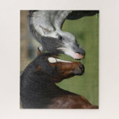 Puzzle Bob Langrish | Réunion des Poney de Bay et Grey We (Vertical)