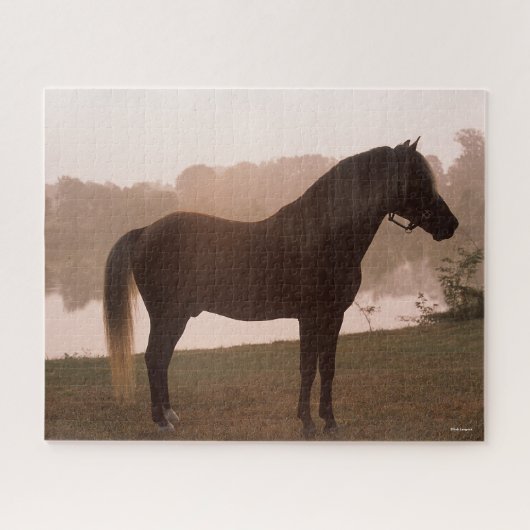 Puzzle Bob Langrish Rocky Mountain Horse debout rétroécla (Horizontal)