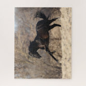 Puzzle Bob Langrish | Running Andalucian (Vertical)