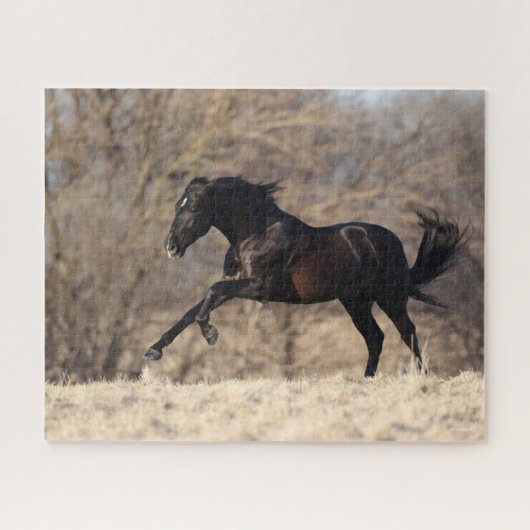 Puzzle Bob Langrish | Running Andalucian (Horizontal)