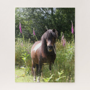 Puzzle Bob Langrish   Shetland Pony Debout De Fleurs