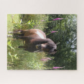 Puzzle Bob Langrish | Shetland Pony Debout De Fleurs (Horizontal)