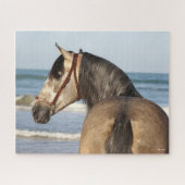 Puzzle Bob Langrish | Soleil de Stallion Andalou (Horizontal)