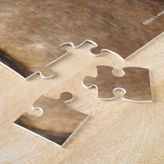 Puzzle Bob Langrish | Soleil de Stallion Andalou (Côté)