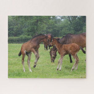 Puzzle Bob Langrish   Sport Horse Foals Jouer