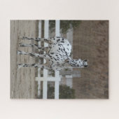 Puzzle Bob Langrish | Spotty Appaloosa Friesian Standing (Horizontal)