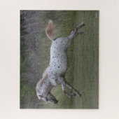 Puzzle Bob Langrish | Spotty Pony of America Leaping (Vertical)