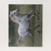 Puzzle Bob Langrish | Spotty Pony Of America Running (Vertical)