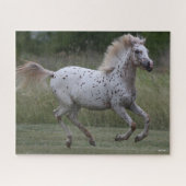 Puzzle Bob Langrish | Spotty Pony Of America Running (Horizontal)