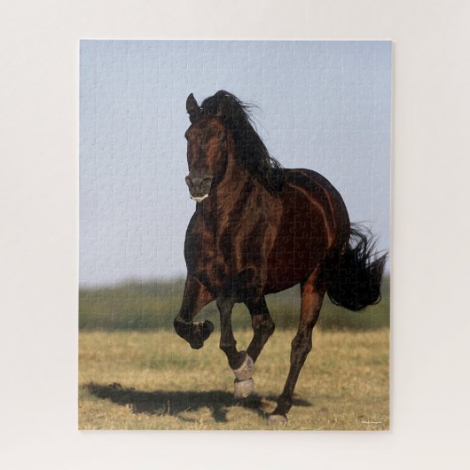 Puzzle Bob Langrish | Stallion andalou en marche (Vertical)