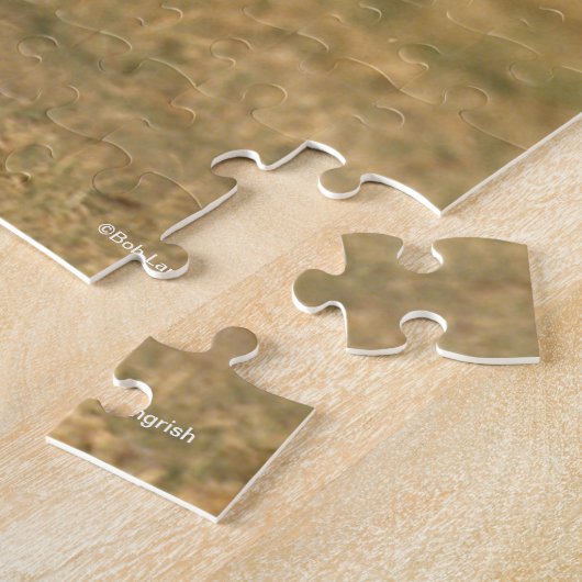 Puzzle Bob Langrish | Stallion andalou en marche (Côté)