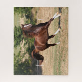 Puzzle Bob Langrish | Stallion arabe châtaignier courant  (Vertical)