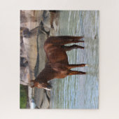 Puzzle Bob Langrish | Stallion Arabe Dans L'Eau (Vertical)