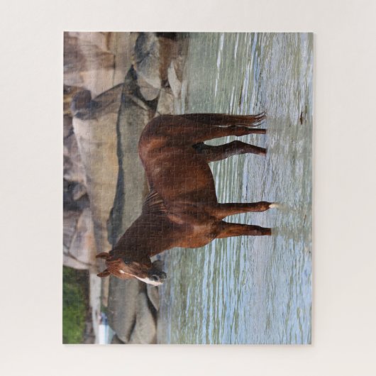 Puzzle Bob Langrish | Stallion Arabe Dans L'Eau (Vertical)