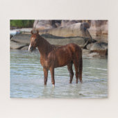 Puzzle Bob Langrish | Stallion Arabe Dans L'Eau (Horizontal)