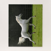Puzzle Bob Langrish | Stallion arabe gris en marche (Vertical)