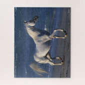 Puzzle Bob Langrish | Stallion Arabe Gris Marchant Sur La (Vertical)