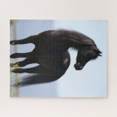 Puzzle Bob Langrish | Stallion arabe noire debout (Horizontal)