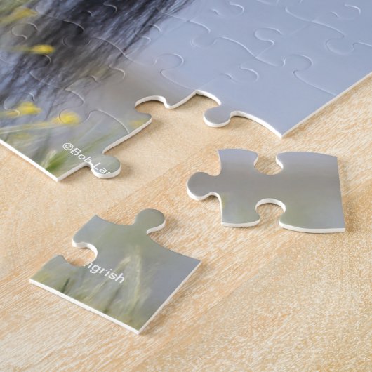 Puzzle Bob Langrish | Stallion arabe noire debout (Côté)