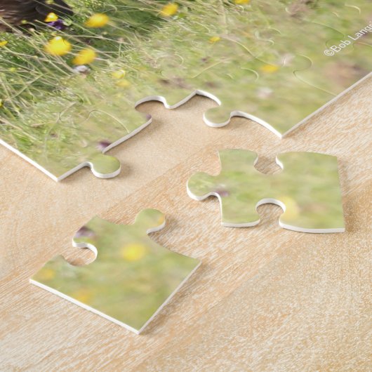 Puzzle Bob Langrish | Stallion de poney de châtaignes (Côté)