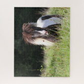 Puzzle Bob Langrish | Stallion Shetland debout Dans L'Her (Vertical)