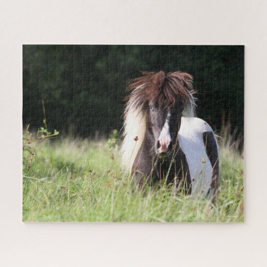 Puzzle Bob Langrish | Stallion Shetland debout Dans L'Her (Horizontal)