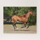 Puzzle Bob Langrish | Stallion Teke Bay Akhal en cours (Horizontal)