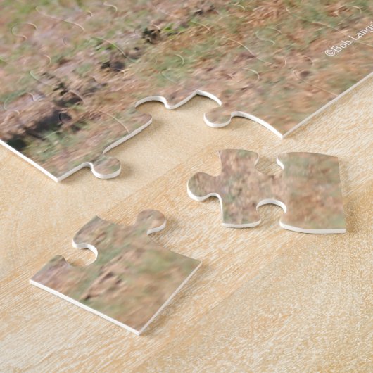 Puzzle Bob Langrish | Stallion Teke Bay Akhal en cours (Côté)