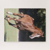 Puzzle Bob Langrish | Tennessee Walker Testnut Running (Horizontal)