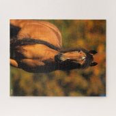 Puzzle Bob Langrish | Tête de tête du ponton de Chocktaw (Horizontal)