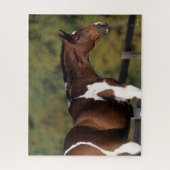 Puzzle Bob Langrish | Tête de tête Pinto Warmblood Standi (Vertical)