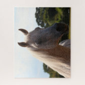Puzzle Bob Langrish | Tête d'écran gris arabe Stallion ré (Vertical)