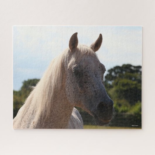 Puzzle Bob Langrish | Tête d'écran gris arabe Stallion ré (Horizontal)