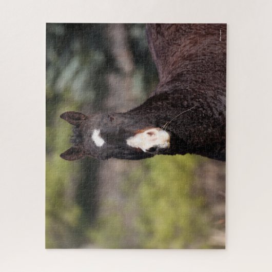 Puzzle Bob Langrish | Tirage de Bashkir Curly Mare (Vertical)