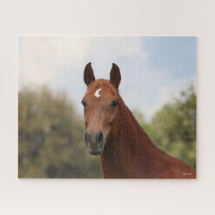 Puzzle Bob Langrish   Tirage de châtaignier Oldenburg
