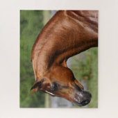 Puzzle Bob Langrish | Tirage de l'étalon arabe châtaignie (Vertical)