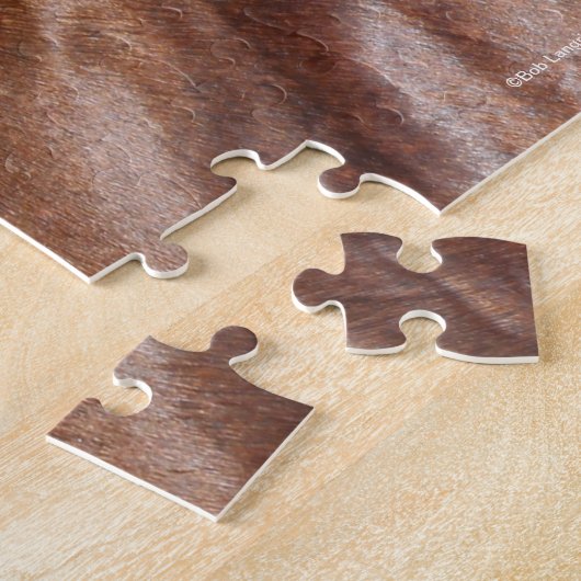 Puzzle Bob Langrish | Tirage de l'étalon arabe châtaignie (Côté)