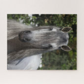 Puzzle Bob Langrish | Tirage de Stallion andalou gris (Horizontal)