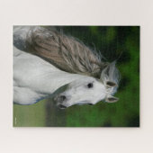Puzzle Bob Langrish | Tirage de Stallion andalou gris (Horizontal)