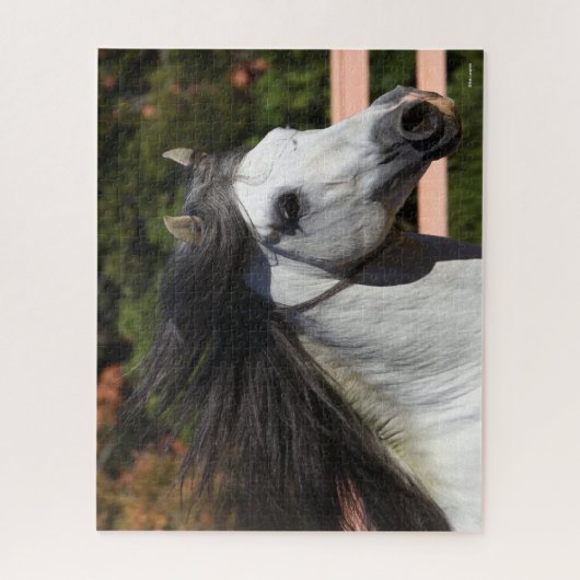 Puzzle Bob Langrish | Tirage d'écran gris de Stallion and (Vertical)