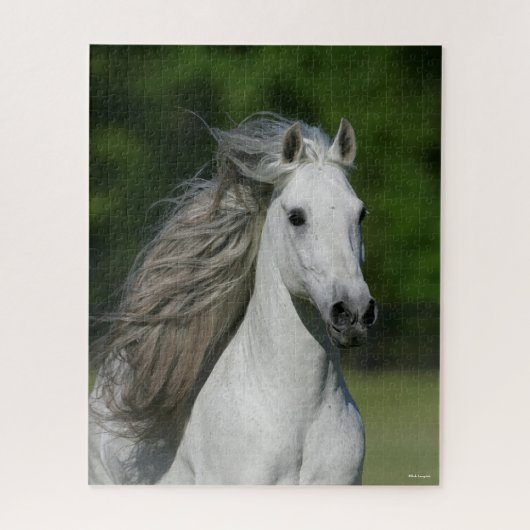 Puzzle Bob Langrish | Tirage d'un stallion andalou gris (Vertical)