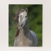 Puzzle Bob Langrish | Tirage d'un stallion andalou gris (Vertical)