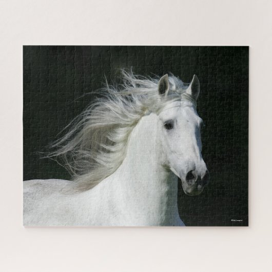 Puzzle Bob Langrish | Tirage d'un stallion andalou gris (Horizontal)
