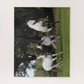 Puzzle Bob Langrish | Trois Andalous gris sautant (Vertical)
