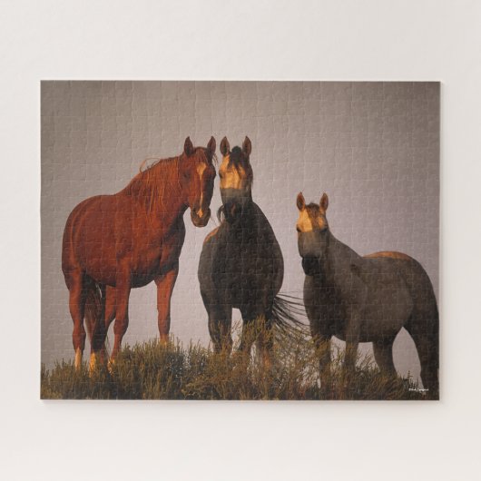 Puzzle Bob Langrish | Trois Arabes debout au coucher du s (Horizontal)