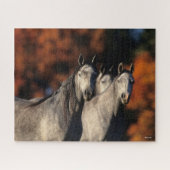 Puzzle Bob Langrish | Trois Arabes gris se rassemblent (Horizontal)